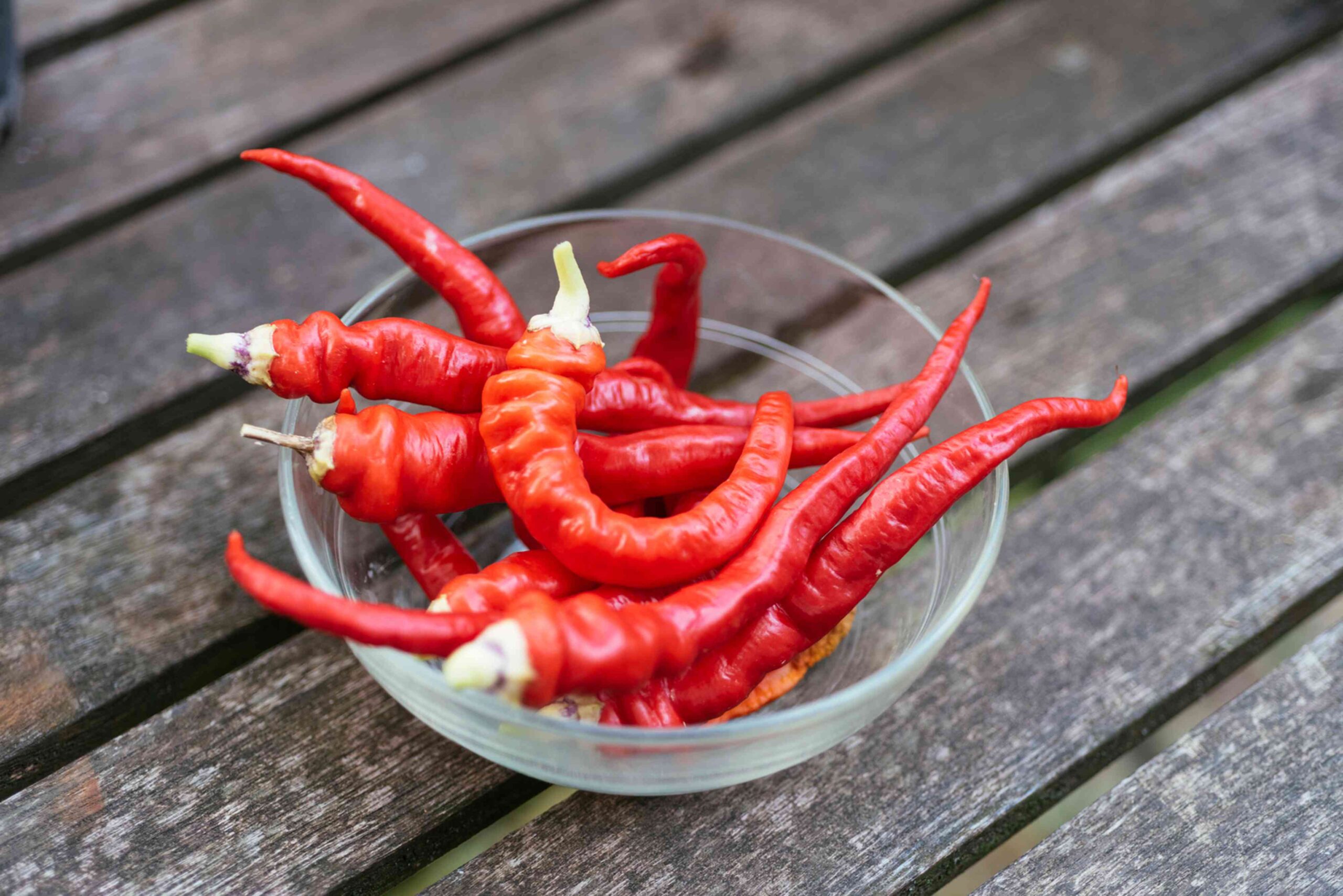 Cayenne Pepper: Benefits, Nutrition, and Risks